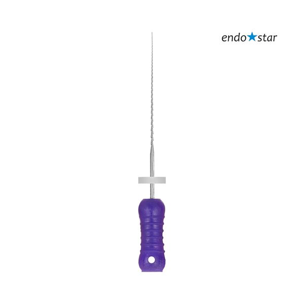 Endostar H-File 10 28mm